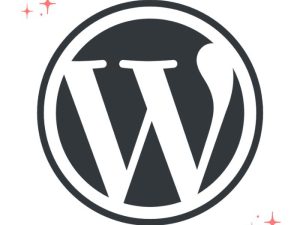 WordPress Website Services at RankRoute